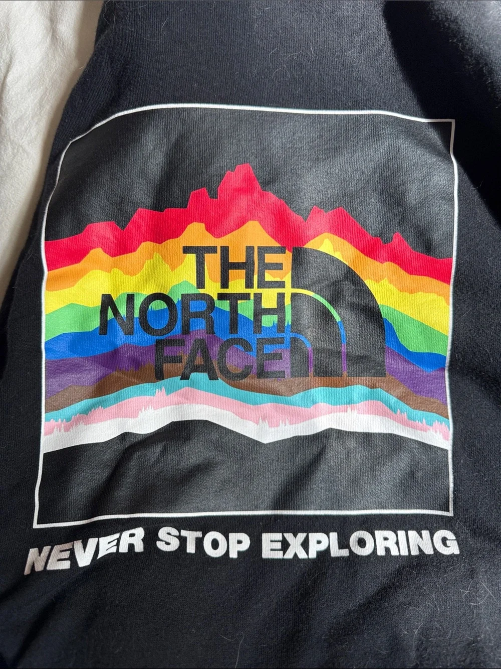 The North Face classic pullover